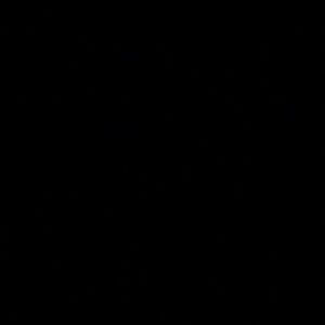 Meet your Posher, Corinne